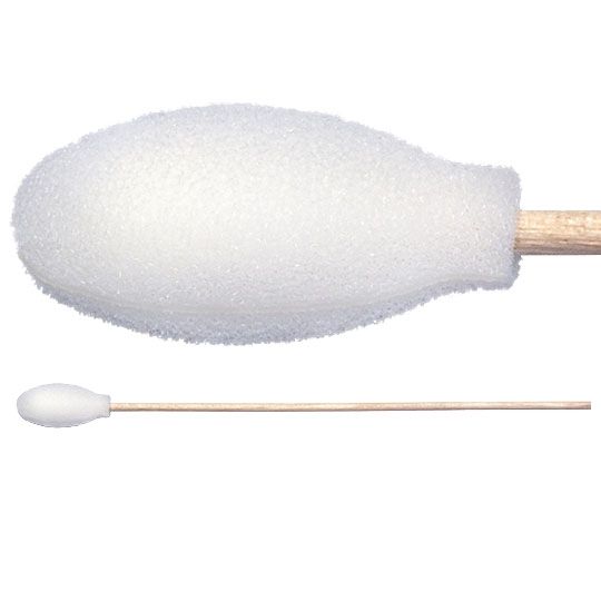 Picture of TX720B Foam Covered Cotton Cleanroom Swab with Wood Handle, Non-Sterile